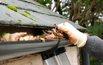 gutter cleaning Lydford Fair Place, Somerset