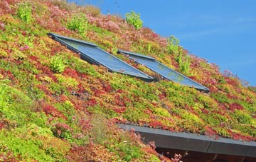 Lydford Fair Place living roof systems
