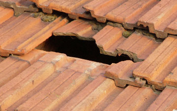 roof repair Lydford Fair Place, Somerset