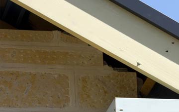 soffit repair Lydford Fair Place